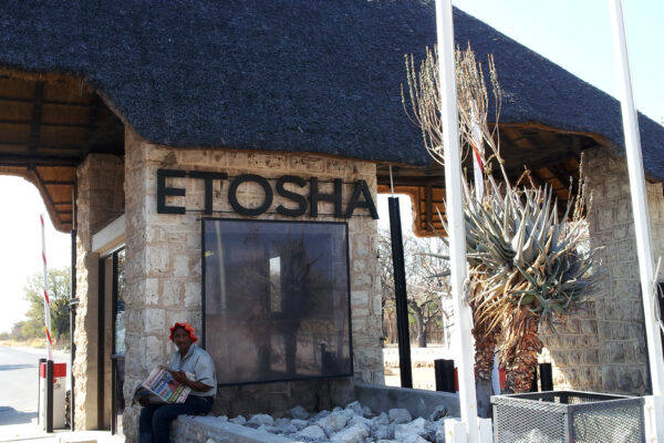 Safari Etosha