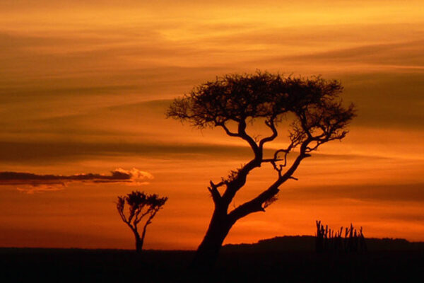 WildWoobinda safari e viaggi esotici
Tramonto Africa